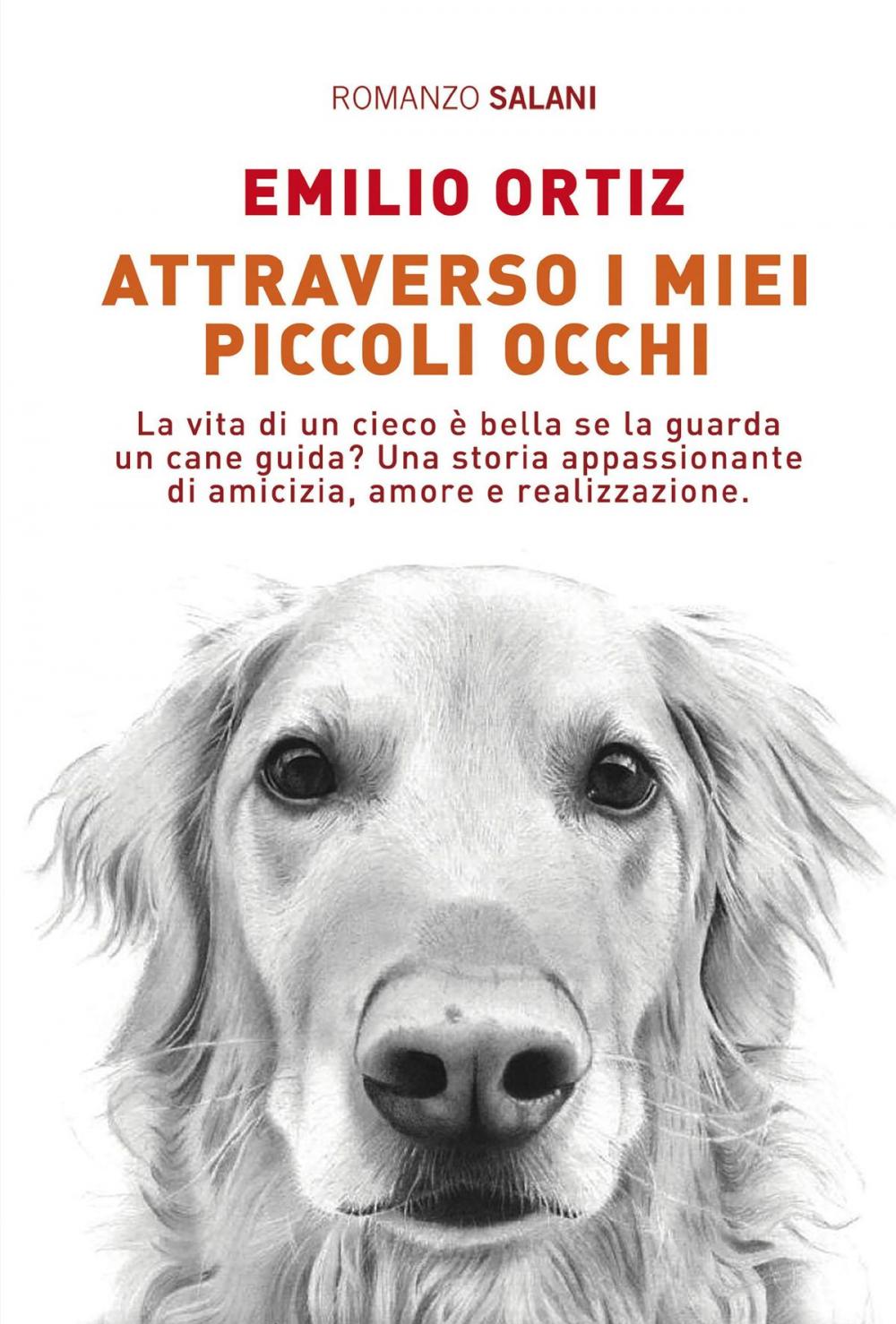 Big bigCover of Attraverso i miei piccoli occhi