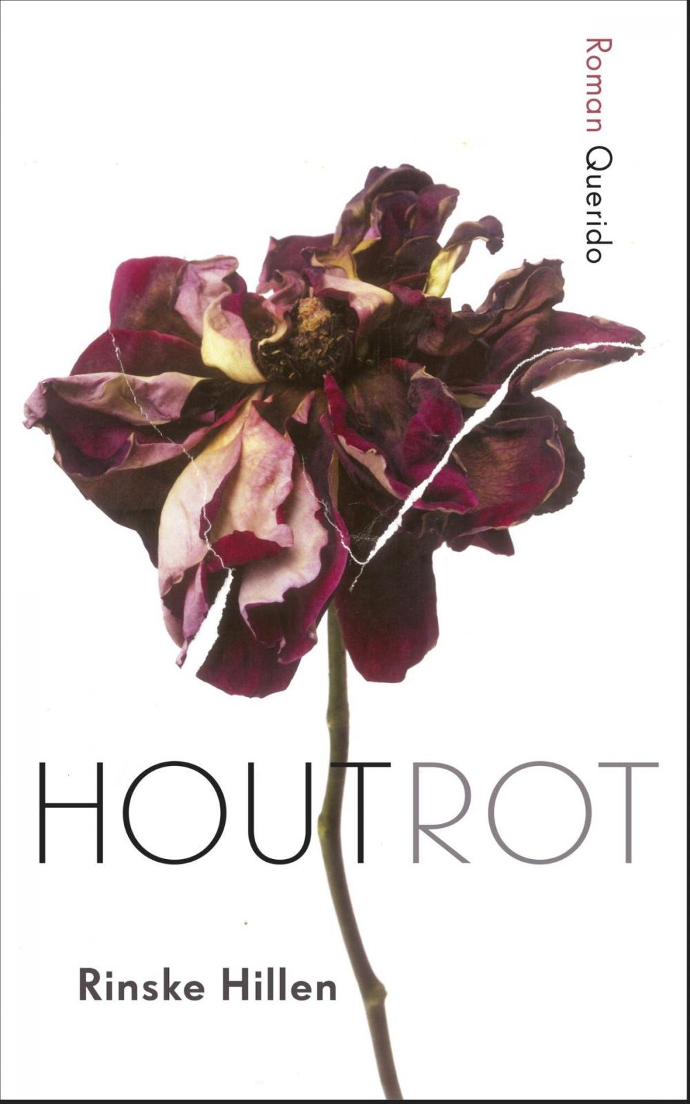 Big bigCover of Houtrot