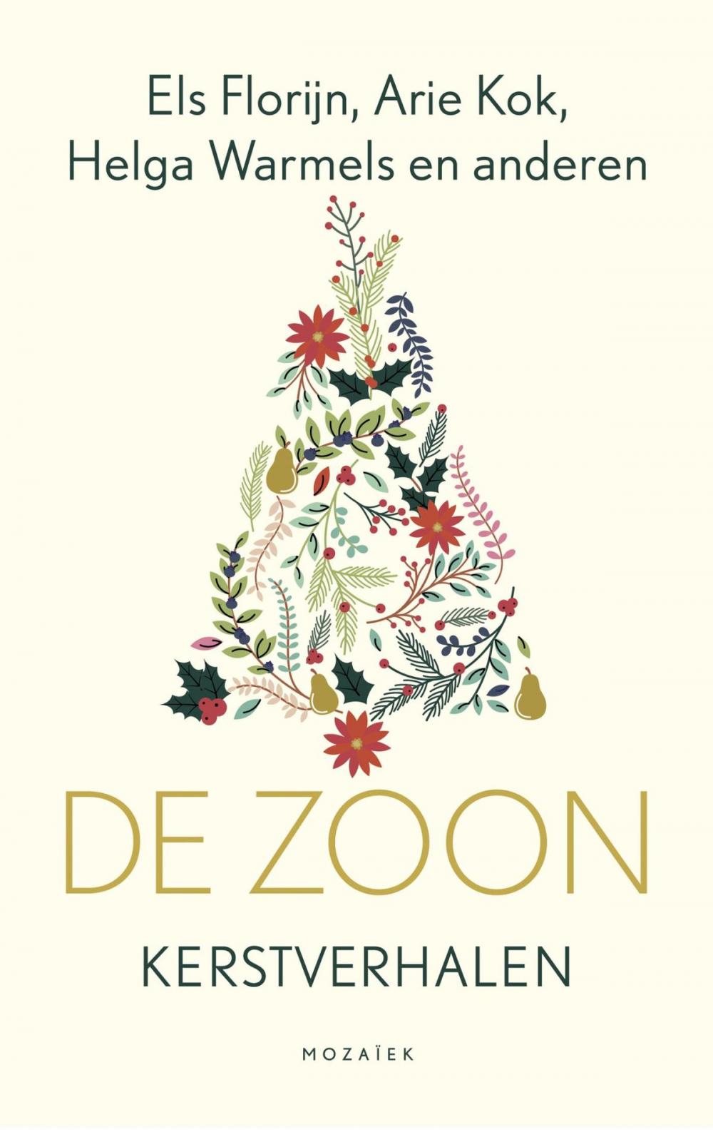 Big bigCover of De Zoon