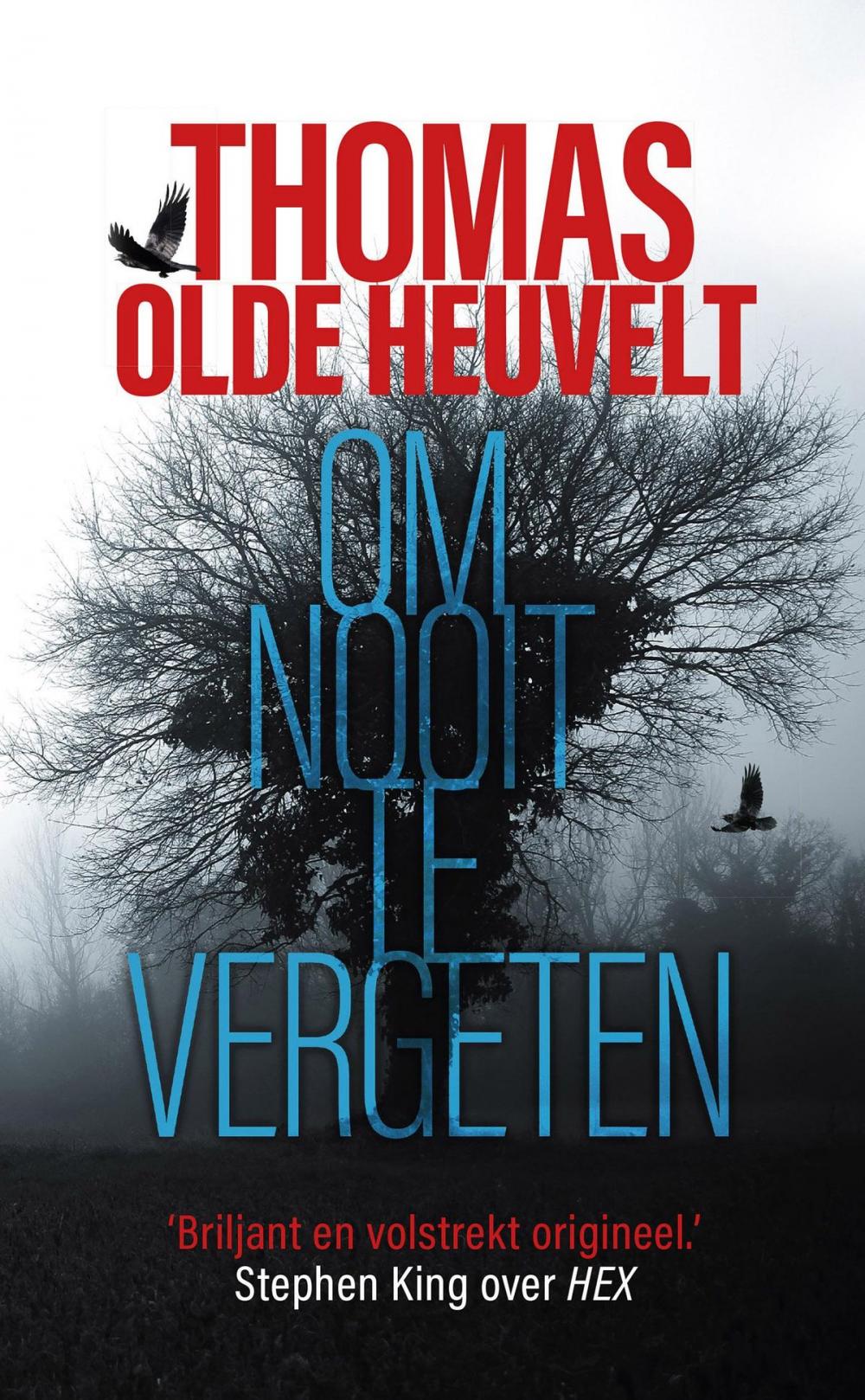 Big bigCover of Om nooit te vergeten