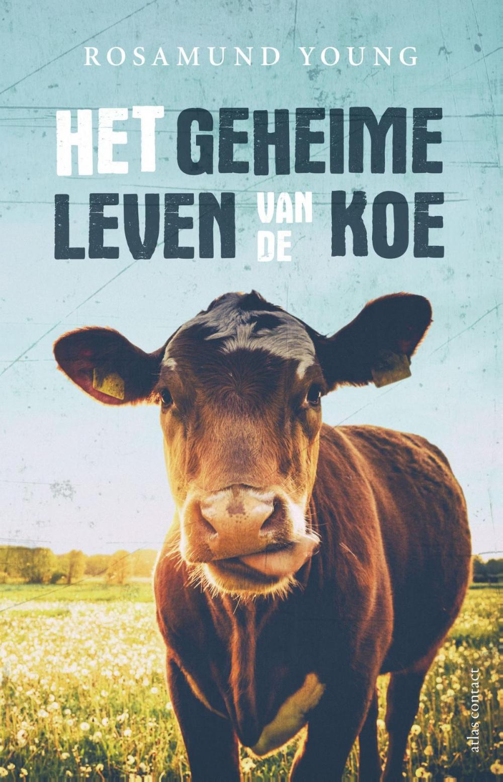 Big bigCover of Het geheime leven van de koe