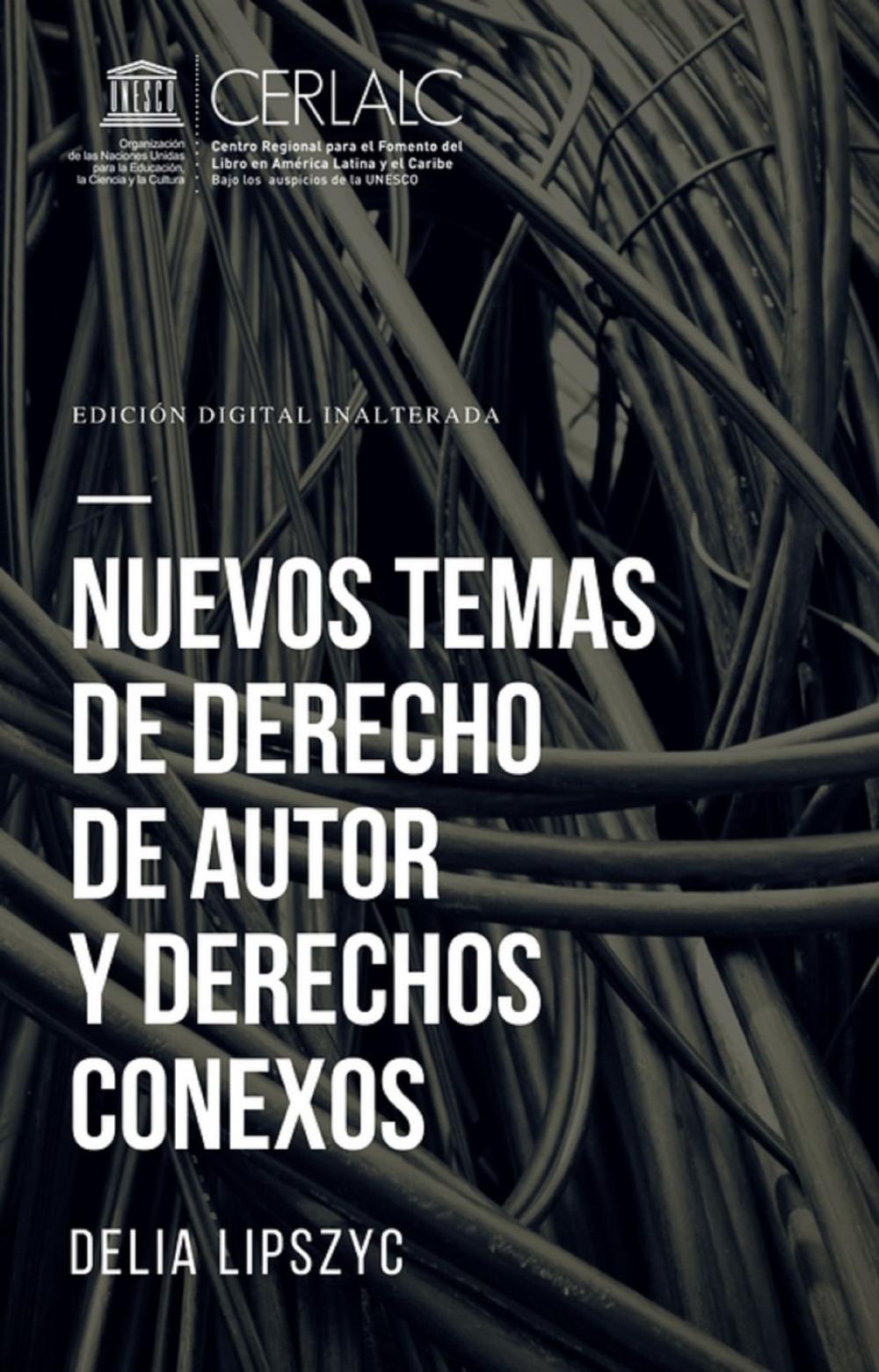 Big bigCover of Nuevos temas de derecho de autor y derechos conexos