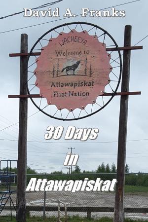 Cover of the book 30 Days in Attawapiskat by Mark Miller, Shelby Jones