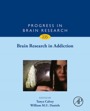bigCover of the book Brain Research in Addiction by 