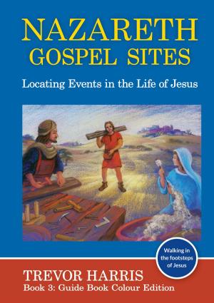 bigCover of the book Nazareth Gospel Sites by 