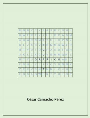 Cover of the book Lenguaje gráfico by Kirsty Dunlop