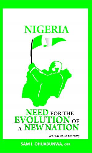 bigCover of the book Nigeria: Need For The Evolution of a New Nation by 