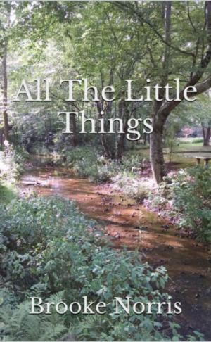 bigCover of the book All the Little Things by 