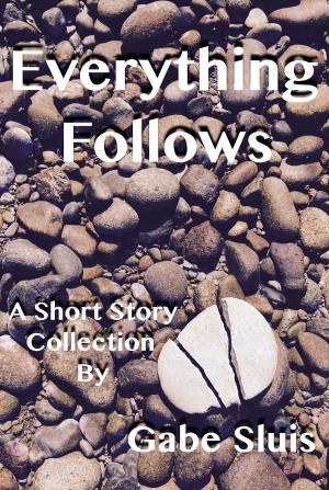 Cover of the book Everything Follows by C. H. Aalberry