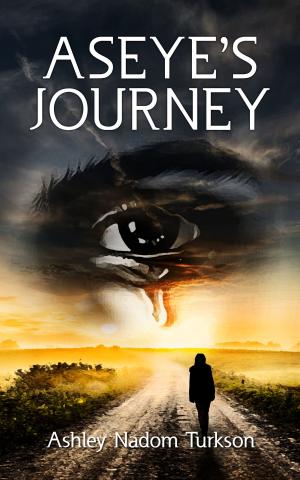 bigCover of the book Aseye's Journey by 