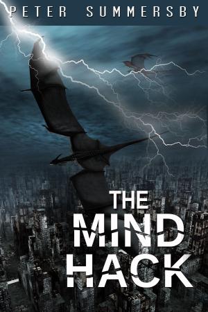 Cover of the book The Mind Hack by Izzibella Beau