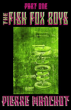 Cover of the book The Fish Fox Boys by J E Nice