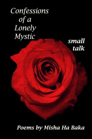 Cover of the book Confessions of a Lonely Mystic small talk by Jed McKenna