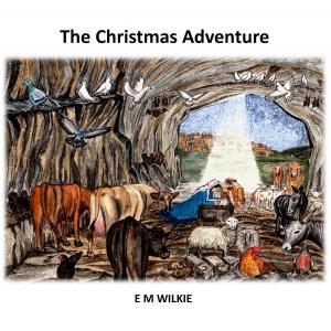 Book cover of The Christmas Adventure