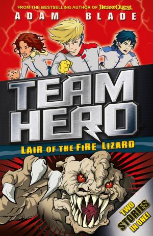 Cover of the book Lair of the Fire Lizard by Thomas Macy