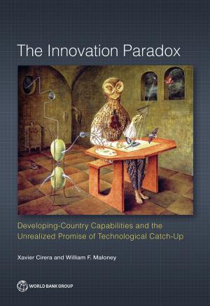 Cover of the book The Innovation Paradox by Binswanger-Mkhize Hans P.; de Regt Jacomina P.