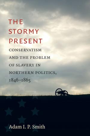 Cover of the book The Stormy Present by Carol Reardon, Tom Vossler