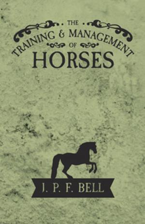 Cover of the book The Training and Management of Horses by Earl Derr Biggers