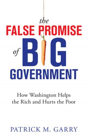 Cover of the book The False Promise of Big Government by Garland S Tucker III