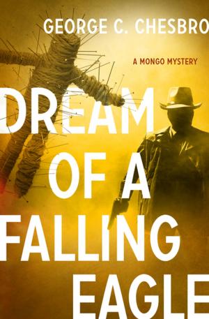 Cover of the book Dream of a Falling Eagle by Cole Steele