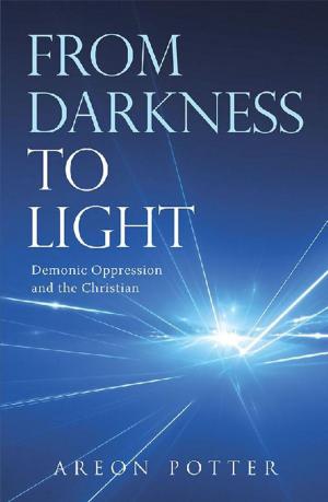 Cover of the book From Darkness to Light by Dr. Sylvia Held
