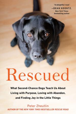 Cover of the book Rescued by Nina Bruhns