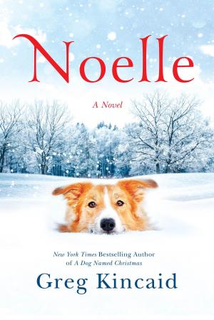 Cover of the book Noelle by Kristen den Hartog