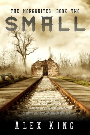 Cover of the book Small by J. Z. Colby