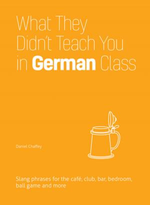 Cover of the book What They Didn't Teach You in German Class by Kat Geiger