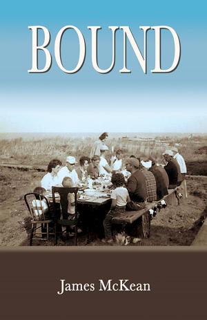 Cover of the book Bound by Marilyn Sewell