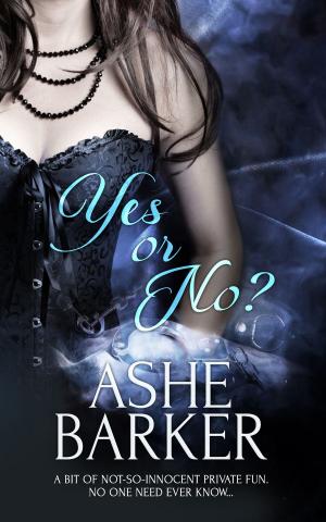 Cover of the book Yes or No? by Molly O'Keefe