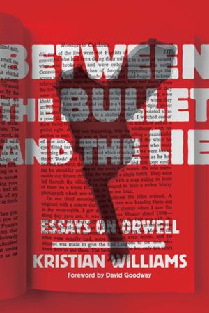 Book cover of Between the Bullet and the Lie