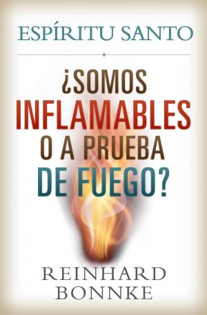 bigCover of the book Espiritu Santo - Somos inflamables o prueba de fuego? by 
