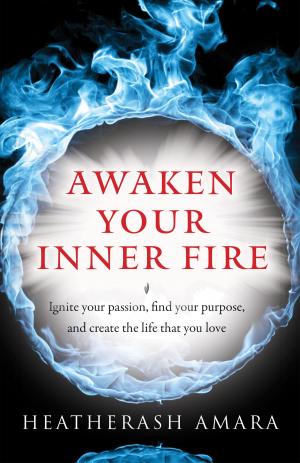 Cover of the book Awaken Your Inner Fire by Wendy E Slater