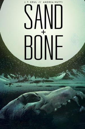 Cover of the book Sand + Bone by Justin Gray, Jimmy Palmiotti, Spencer Marstiller