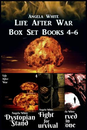 Book cover of Life After War Box Set 4-6