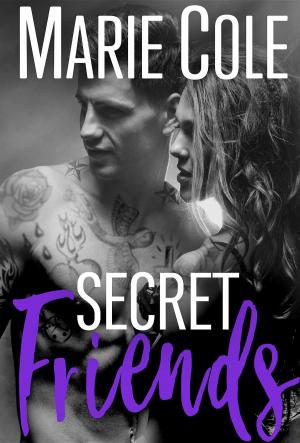 Cover of the book Secret Friends by Mia Silverton