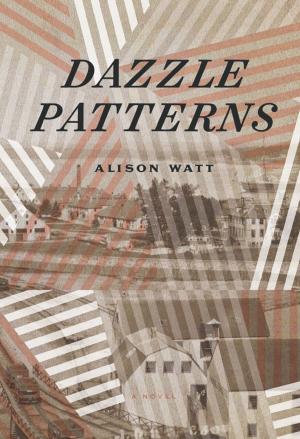 Cover of the book Dazzle Patterns by Ian Colford
