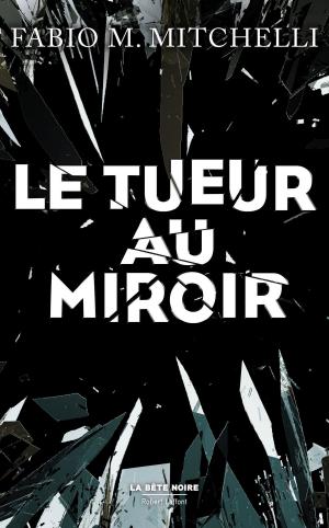 Book cover of Le Tueur au miroir