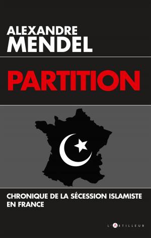 Cover of the book Partition by Alexandre Del Valle