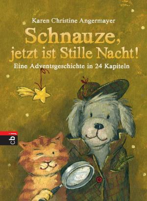 Cover of the book Schnauze, jetzt ist Stille Nacht! by Elisabeth Herrmann