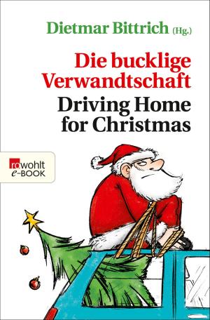 Cover of the book Die bucklige Verwandtschaft - Driving Home for Christmas by Paul Auster