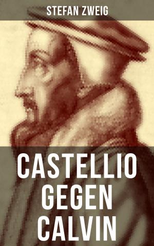 Cover of the book Castellio gegen Calvin by Winston Rowe