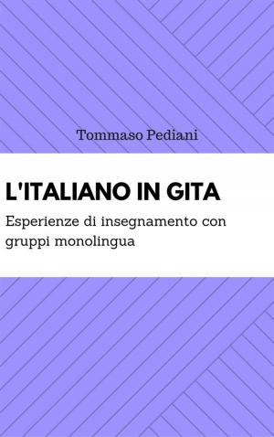 bigCover of the book L'italiano in gita: esperienze di insegnamento con gruppi monolingua by 