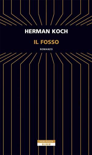 Cover of the book Il fosso by Robert Brewster