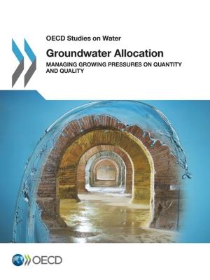 Cover of Groundwater Allocation