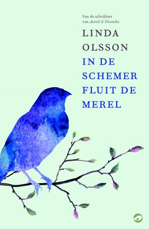 Cover of In de schemer fluit de merel