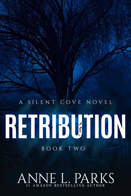 Cover of the book Retribution by Anne L. Parks, Deanndra Hall, Jax Jillian, Fireside Publishing LLC