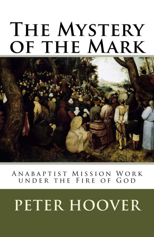 Cover of the book The Mystery of the Mark by Peter Hoover, CrossReach Publications