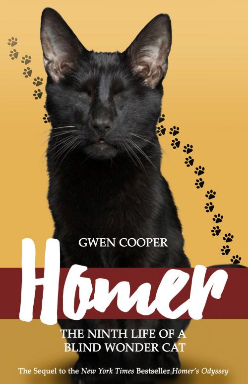 Cover of the book Homer by Gwen Cooper, Gwen Cooper